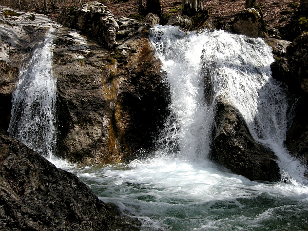 Escursione Parco Nazionale d''Abruzzo